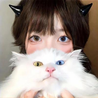 阳光下的决斗